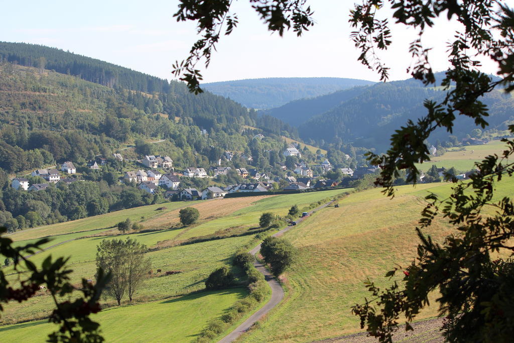 Ferienwohnung Emde Willingen  Exterior photo