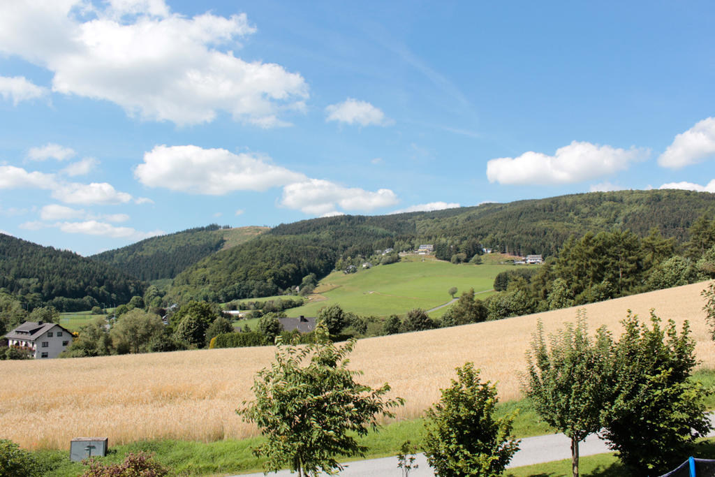 Ferienwohnung Emde Willingen  Exterior photo